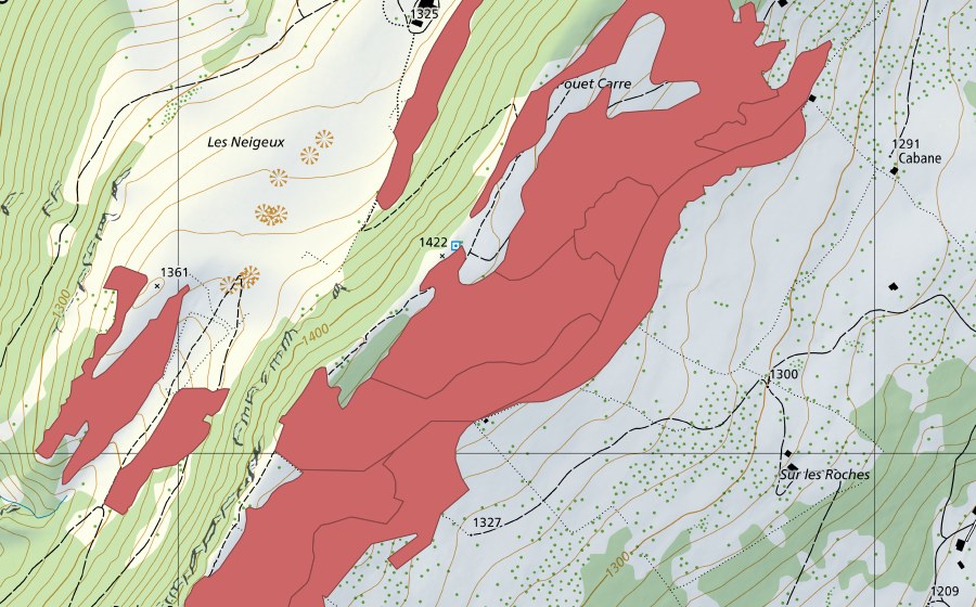 Carta nazionale swisstopo con il perimetro protetto di Rochers Bruns (Prato secco)