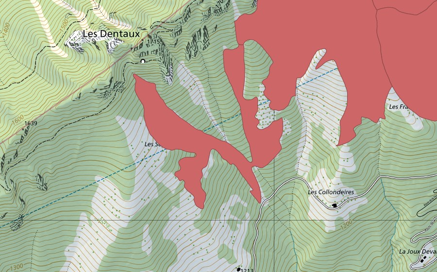Landeskarte swisstopo mit dem Schutzperimeter von Rochers de Naye (Trockenwiese)