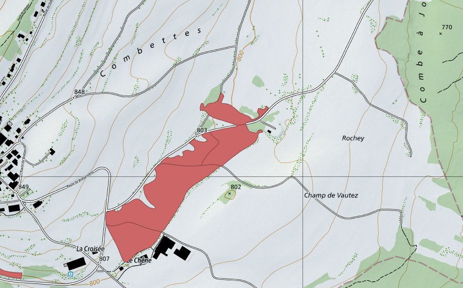 swisstopo national map showing the protected perimeter of Rochey (Dry meadow)