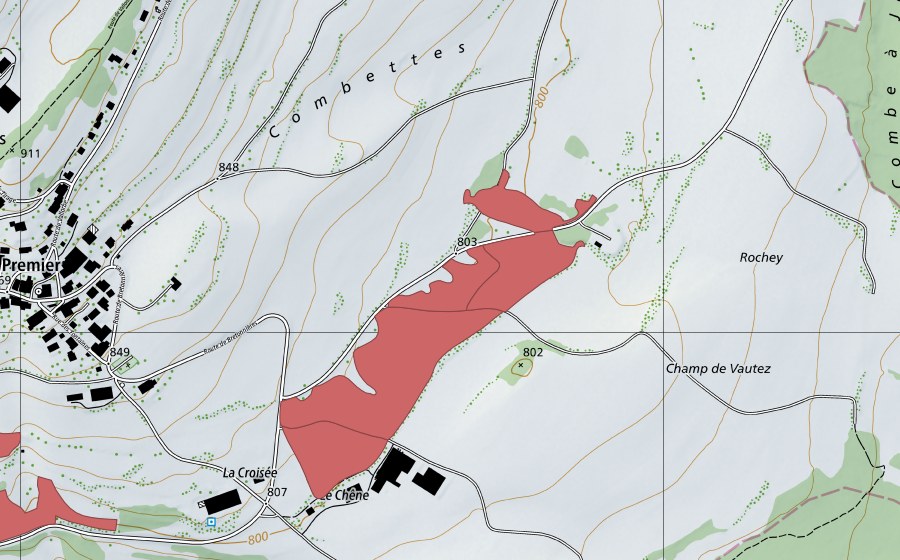 Landeskarte swisstopo mit dem Schutzperimeter von Rochey (Trockenwiese)