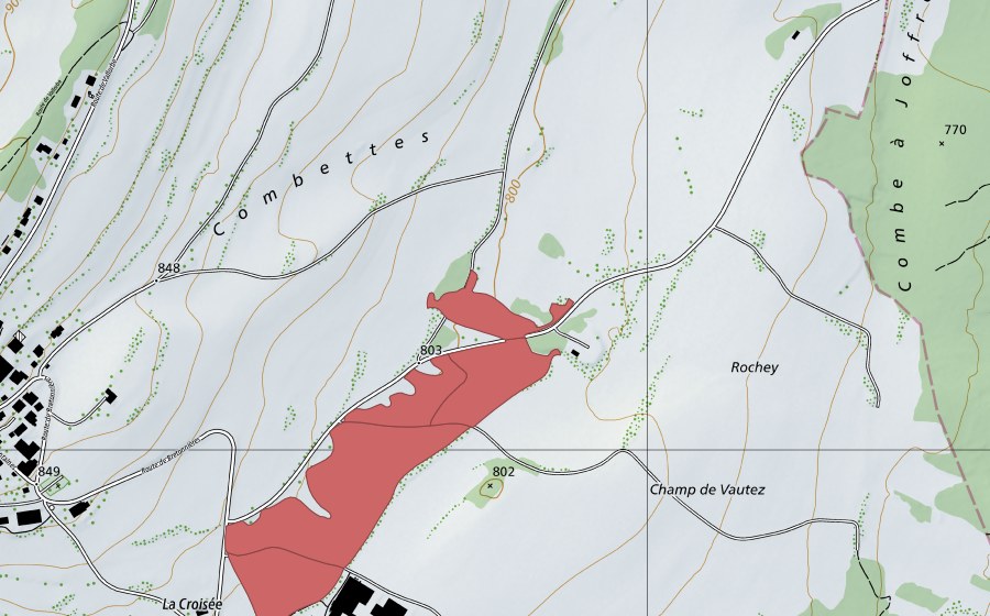 Landeskarte swisstopo mit dem Schutzperimeter von Rochey (Trockenwiese)