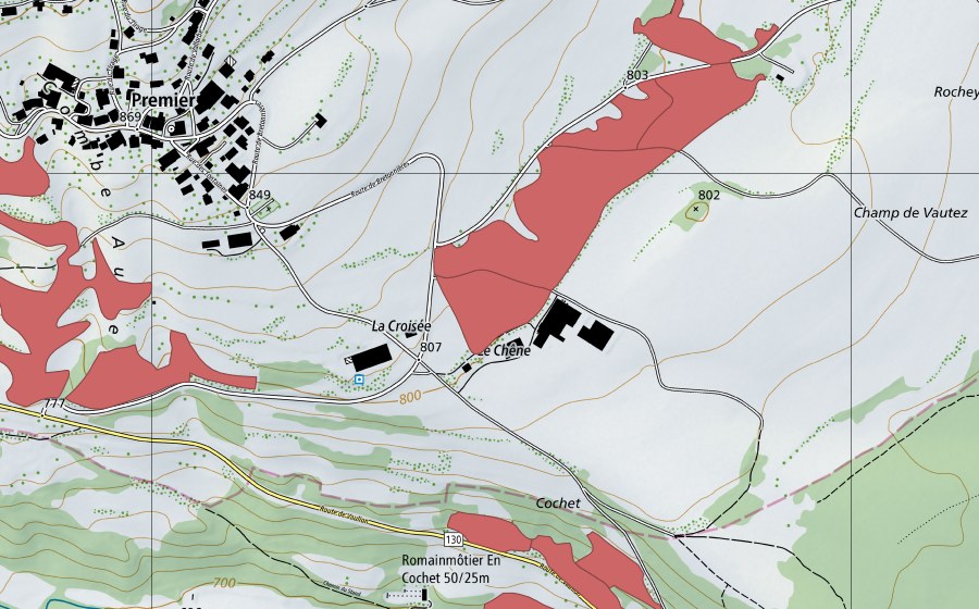 Landeskarte swisstopo mit dem Schutzperimeter von Rochey (Trockenwiese)