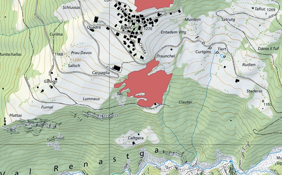 Carte nationale swisstopo avec le périmètre protégé de Rofna (Prairie sèche)