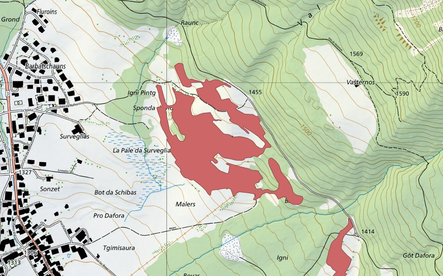 swisstopo national map showing the protected perimeter of Rofna (Dry meadow)