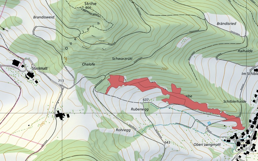 swisstopo national map showing the protected perimeter of Rohregg (Dry meadow)