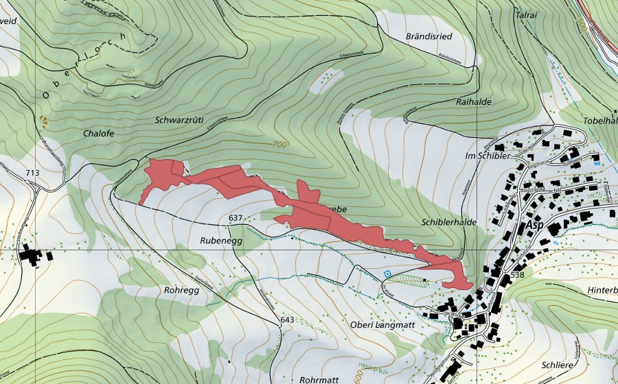 Carte nationale swisstopo avec le périmètre protégé de Rohregg (Prairie sèche)