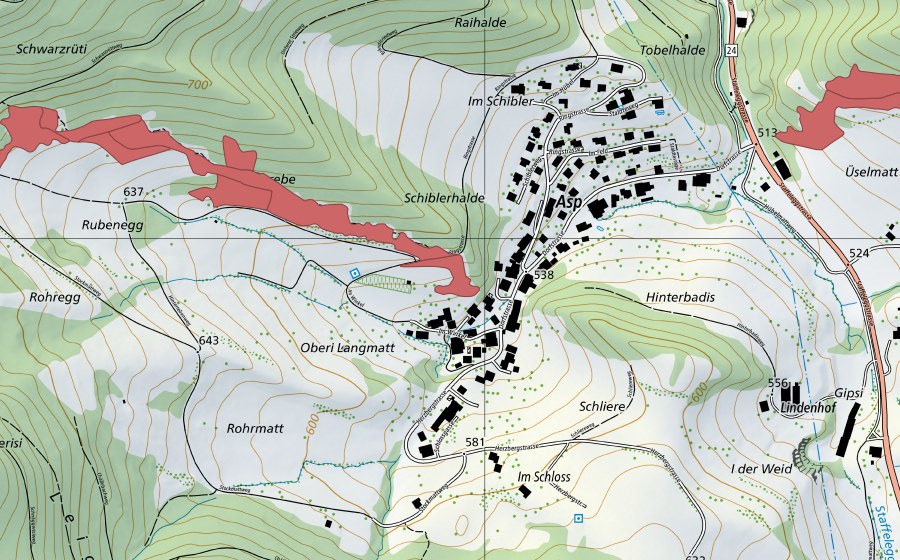 swisstopo national map showing the protected perimeter of Rohregg (Dry meadow)