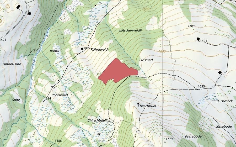 swisstopo national map showing the protected perimeter of Röhrli (Dry meadow)