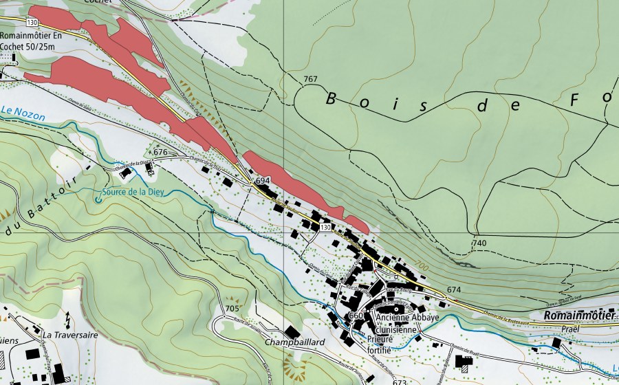 swisstopo national map showing the protected perimeter of Romainmôtier (Dry meadow)