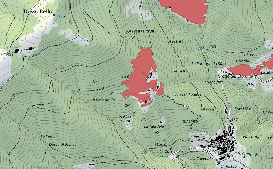 swisstopo national map showing the protected perimeter of Roncaia (Dry meadow)
