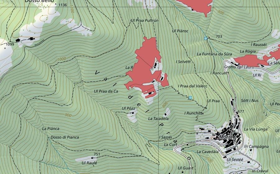 swisstopo national map showing the protected perimeter of Roncaia (Dry meadow)