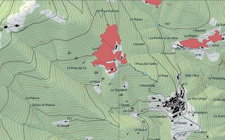 Landeskarte swisstopo mit dem Schutzperimeter von Roncaia (Trockenwiese)