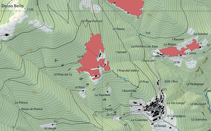 Landeskarte swisstopo mit dem Schutzperimeter von Roncaia (Trockenwiese)