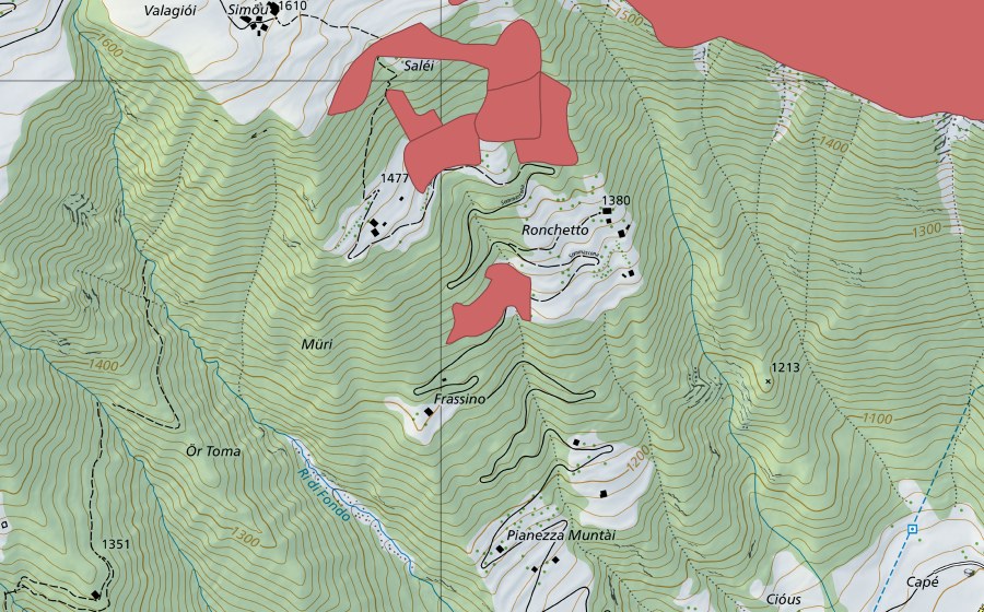 Carte nationale swisstopo avec le périmètre protégé de Ronchetto (Prairie sèche)