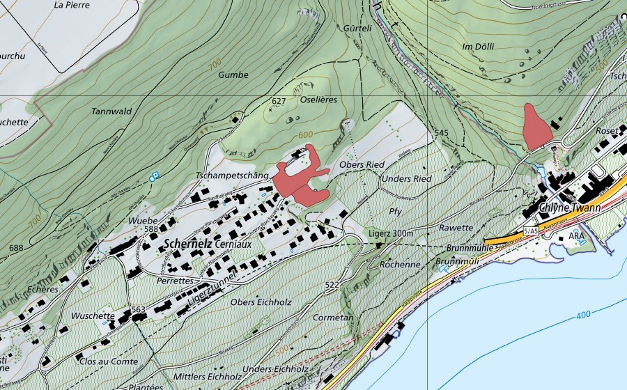 swisstopo national map showing the protected perimeter of Rond Bois (Dry meadow)