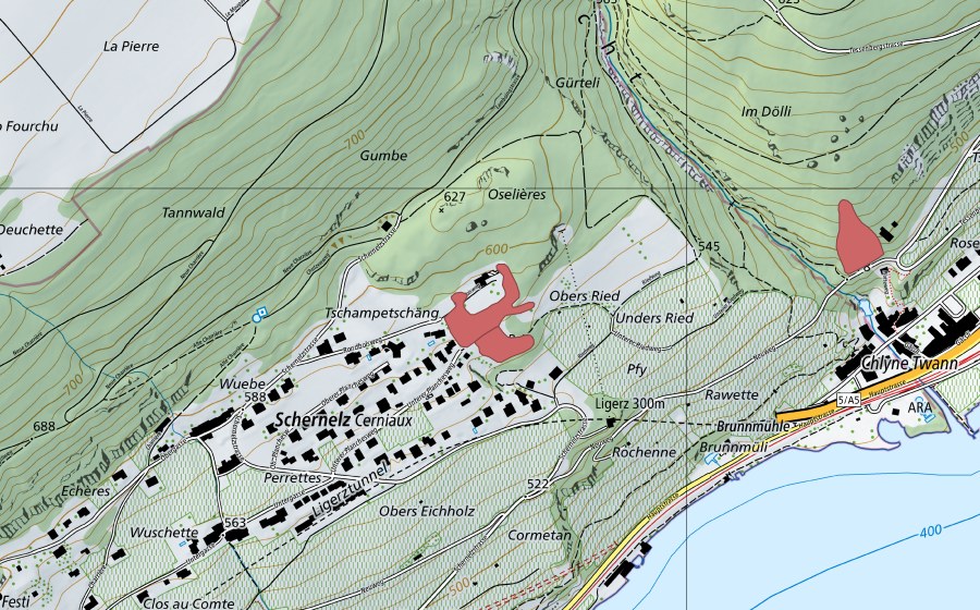 Carte nationale swisstopo avec le périmètre protégé de Rond Bois (Prairie sèche)