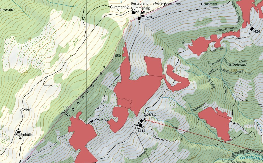 Carte nationale swisstopo avec le périmètre protégé de Ronengrat (Prairie sèche)