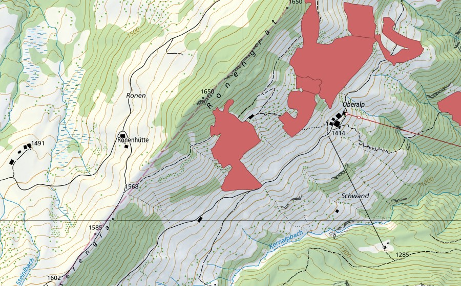 swisstopo national map showing the protected perimeter of Ronengrat (Dry meadow)