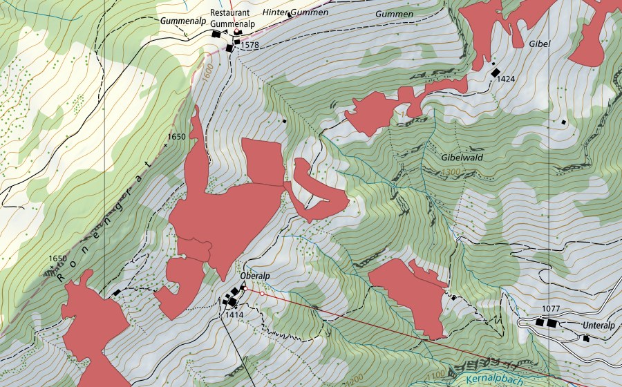 Carte nationale swisstopo avec le périmètre protégé de Ronengrat (Prairie sèche)