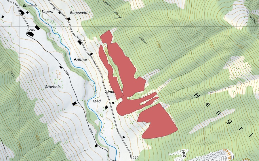 swisstopo national map showing the protected perimeter of Roneweid (Dry meadow)