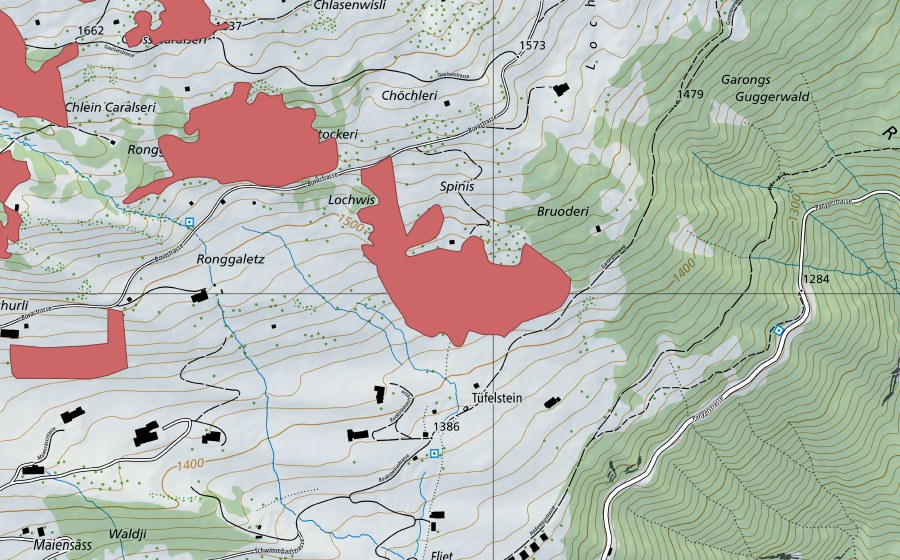 Landeskarte swisstopo mit dem Schutzperimeter von Ronggaletz (Trockenwiese)