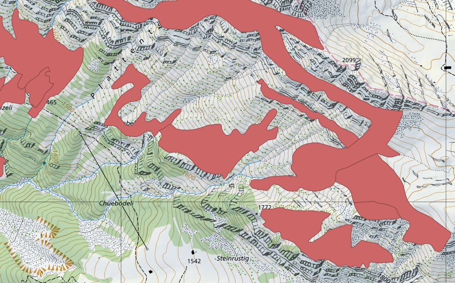 swisstopo national map showing the protected perimeter of Rophaien (Dry meadow)