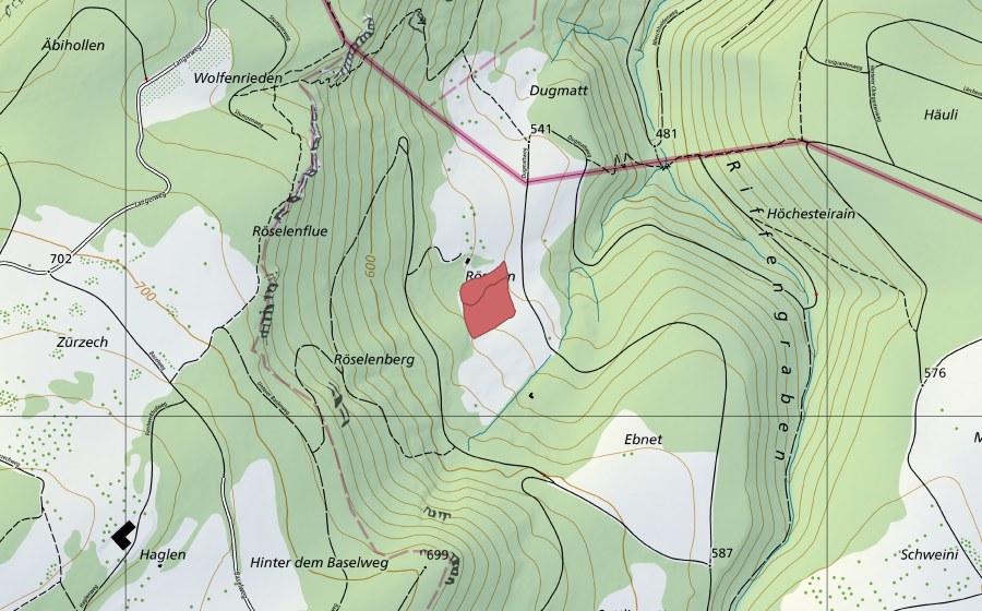 Landeskarte swisstopo mit dem Schutzperimeter von Röselen (Trockenwiese)