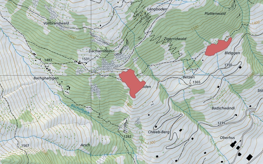 swisstopo national map showing the protected perimeter of Rossboden (Dry meadow)