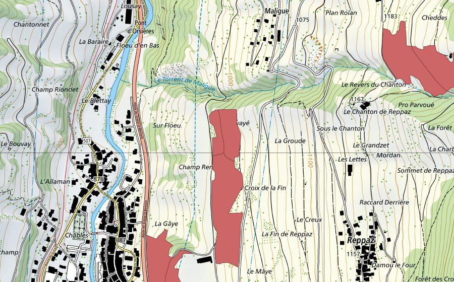 swisstopo national map showing the protected perimeter of Rosset (Dry meadow)