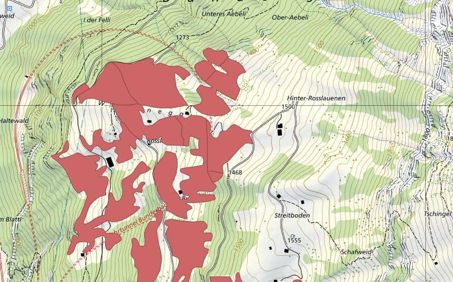Carte nationale swisstopo avec le périmètre protégé de Rosslaueni (Prairie sèche)