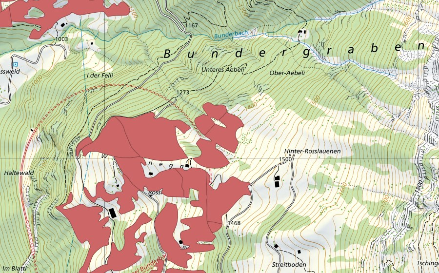 Carte nationale swisstopo avec le périmètre protégé de Rosslaueni (Prairie sèche)