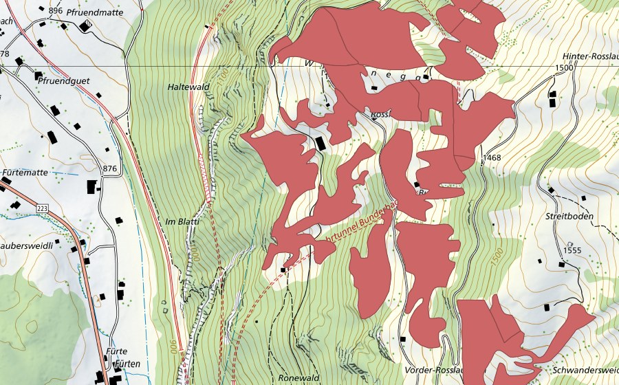 Carte nationale swisstopo avec le périmètre protégé de Rosslaueni (Prairie sèche)
