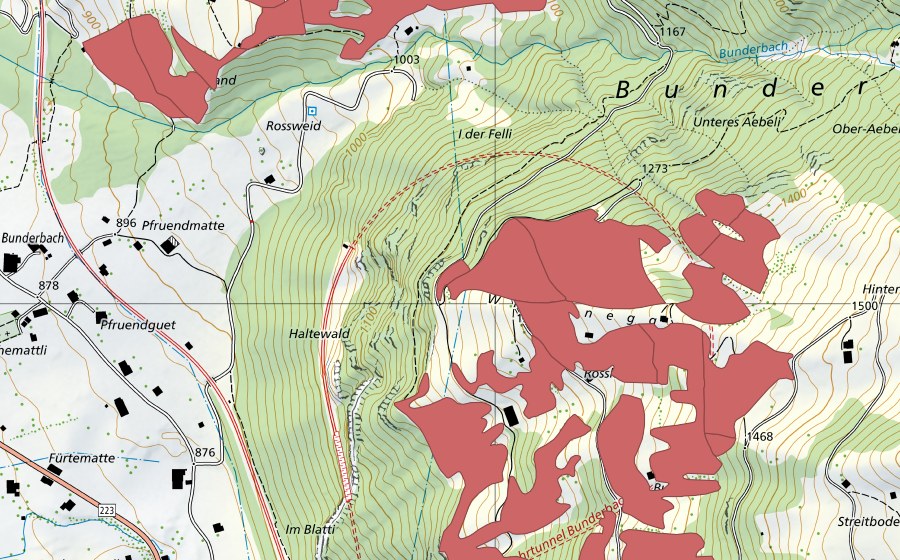 Carte nationale swisstopo avec le périmètre protégé de Rosslaueni (Prairie sèche)