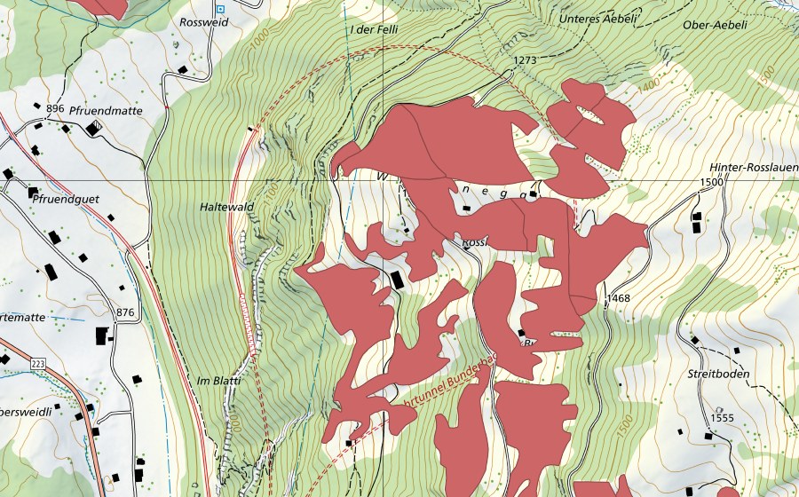 Carte nationale swisstopo avec le périmètre protégé de Rosslaueni (Prairie sèche)