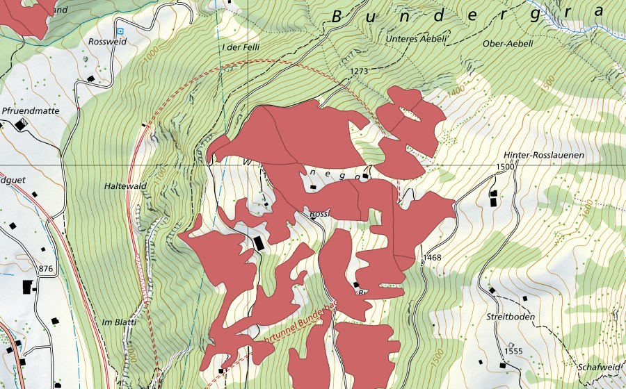 Carte nationale swisstopo avec le périmètre protégé de Rosslaueni (Prairie sèche)