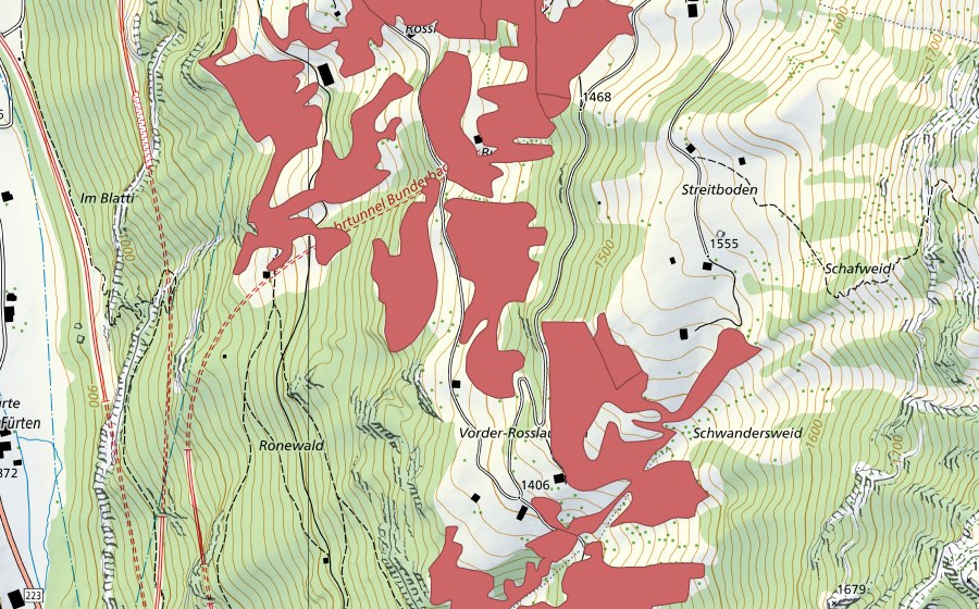 Carte nationale swisstopo avec le périmètre protégé de Rosslaueni (Prairie sèche)