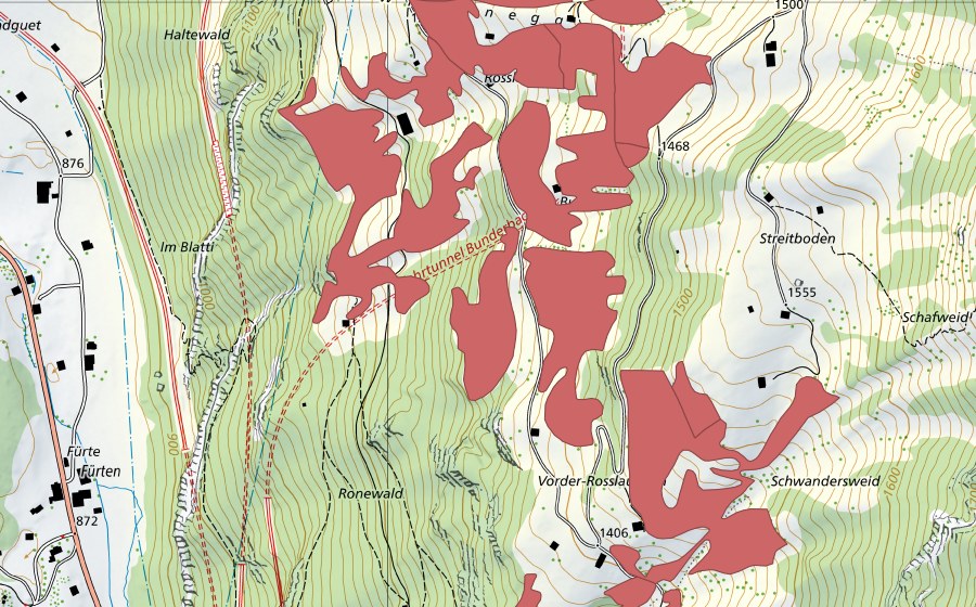 Carte nationale swisstopo avec le périmètre protégé de Rosslaueni (Prairie sèche)