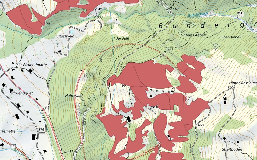 swisstopo national map showing the protected perimeter of Rosslaueni (Dry meadow)