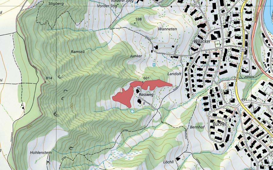 swisstopo national map showing the protected perimeter of Rossweg (Dry meadow)