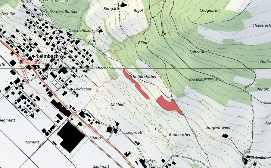 Landeskarte swisstopo mit dem Schutzperimeter von Rossweid (Trockenwiese)
