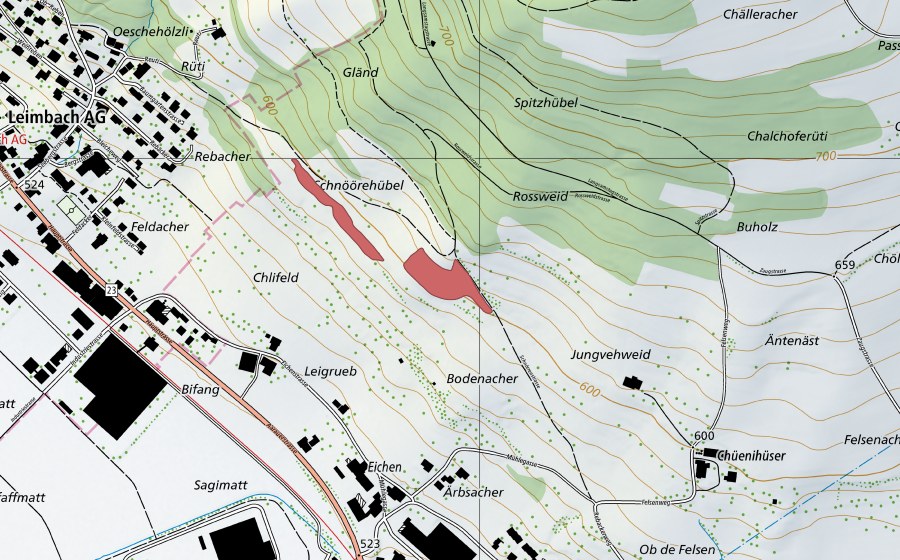 swisstopo national map showing the protected perimeter of Rossweid (Dry meadow)