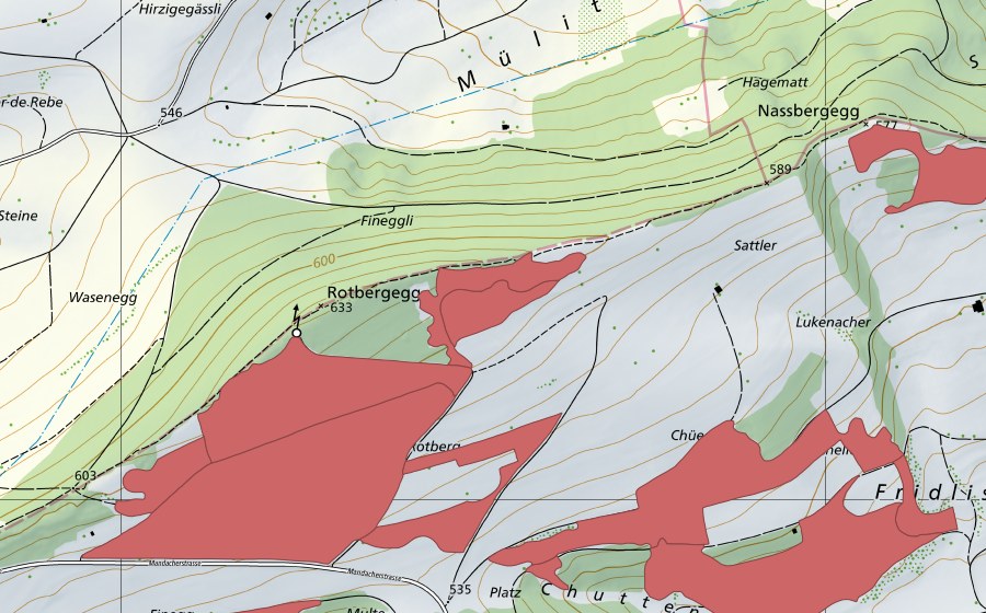 Landeskarte swisstopo mit dem Schutzperimeter von Rotberg (Trockenwiese)