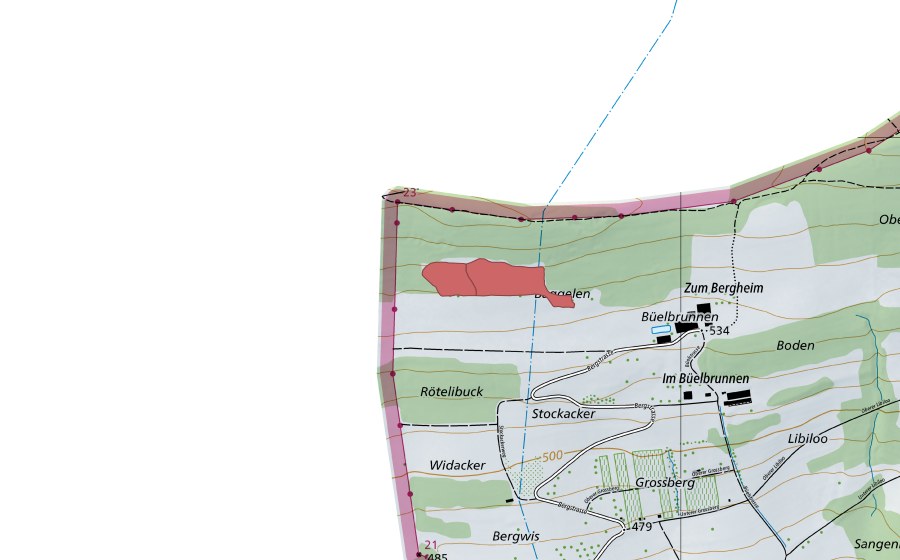 Landeskarte swisstopo mit dem Schutzperimeter von Rötelibuck (Trockenwiese)