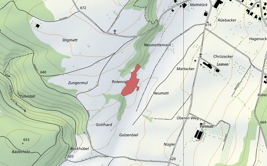 Landeskarte swisstopo mit dem Schutzperimeter von Rotenrain (Trockenwiese)