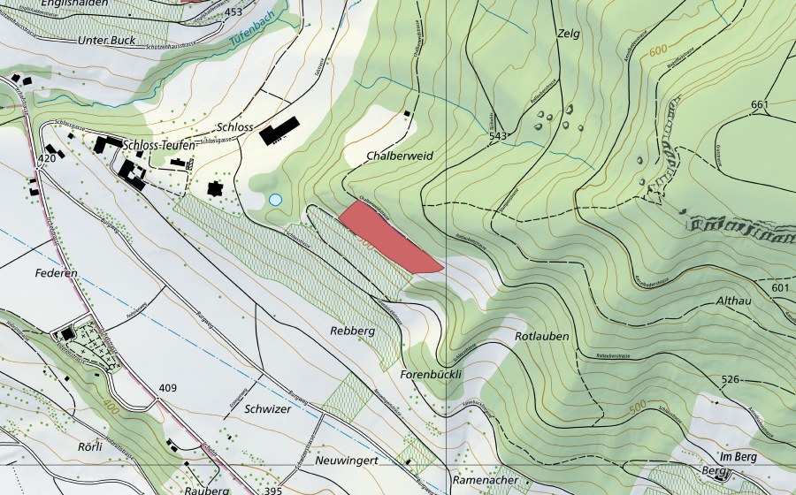 Landeskarte swisstopo mit dem Schutzperimeter von Rotlauben (Trockenwiese)