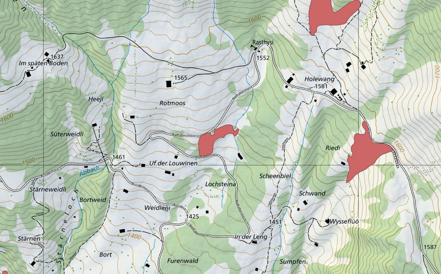 swisstopo national map showing the protected perimeter of Rotmoos (Dry meadow)