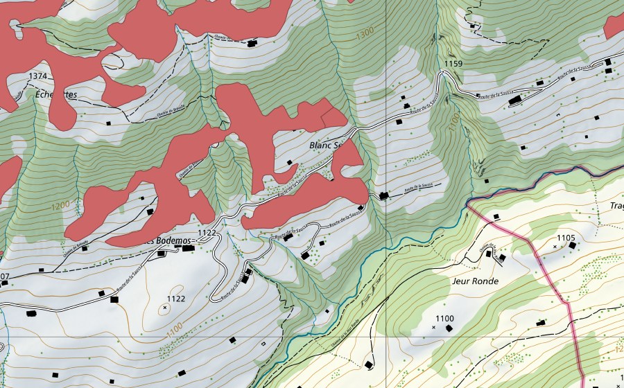 Landeskarte swisstopo mit dem Schutzperimeter von Rougemont (Trockenwiese)