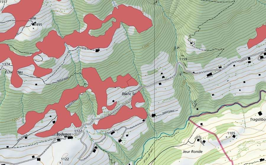 swisstopo national map showing the protected perimeter of Rougemont (Dry meadow)