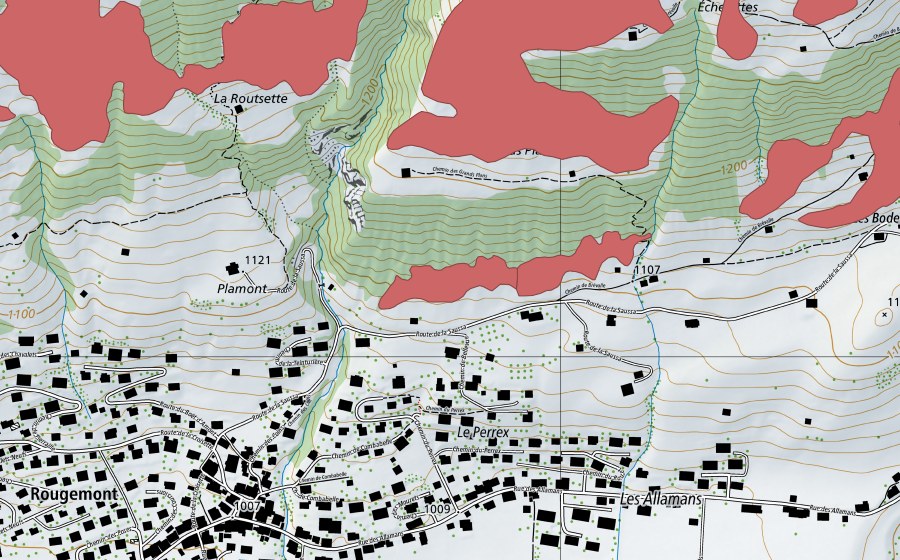Carte nationale swisstopo avec le périmètre protégé de Rougemont (Prairie sèche)