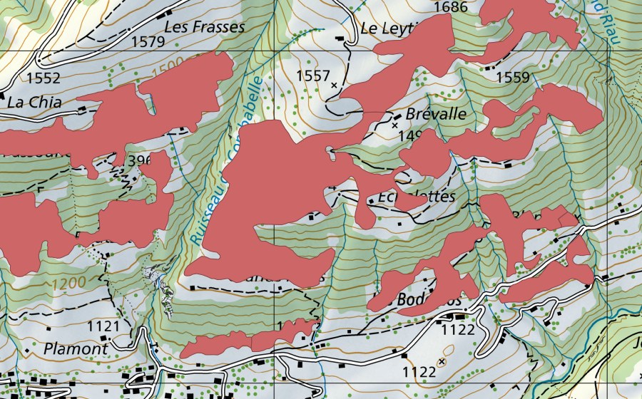 Carte nationale swisstopo avec le périmètre protégé de Rougemont (Prairie sèche)